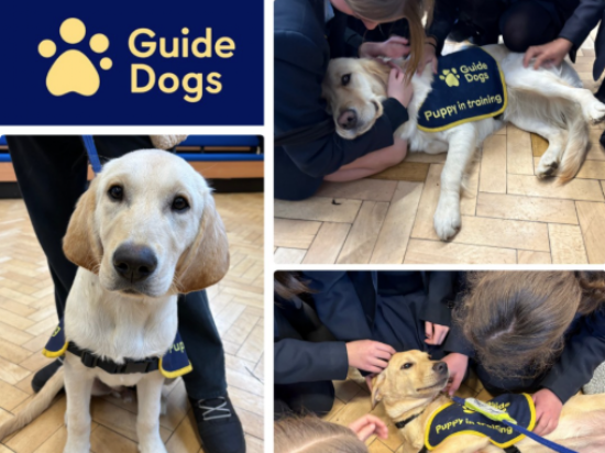 Guide Dog Visit